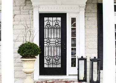 Vidrio integrado elegante del hierro labrado/vidrio decorativo de la puerta para las texturas forjadas mano constructivas