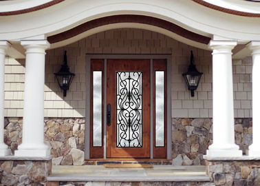 Puerta de cristal personal del hierro labrado de la capa de espray del estilo con Dipfabricated caliente